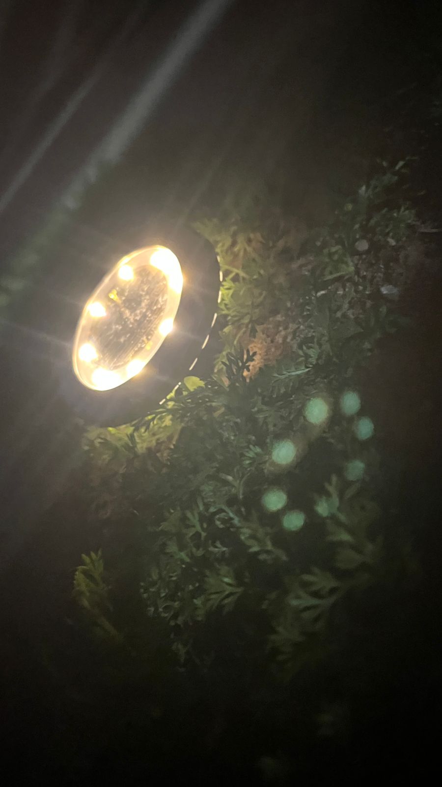Premium Solar Garden Lights – 4 Pack (Warm White)